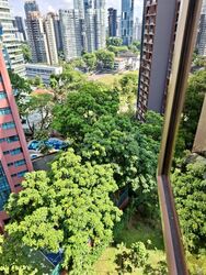 Horizon Towers (D9), Condominium #580251341